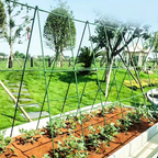 GRILLE GUIDAGE PLANTES CLIMB GRID  – CROISSANCE STRUCTURÉE