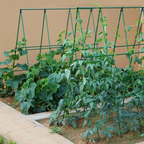 GRILLE GUIDAGE PLANTES CLIMB GRID  – CROISSANCE STRUCTURÉE