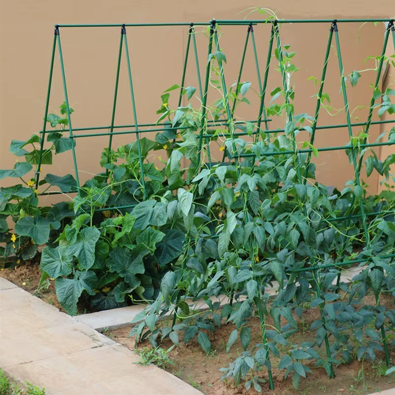 GRILLE GUIDAGE PLANTES CLIMB GRID  – CROISSANCE STRUCTURÉE