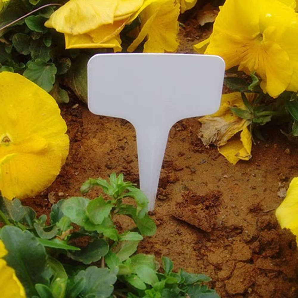 ETHIQUETES PLANTES PLANT TAG  X100 – ORGANISATION PARFAITE DU JARDIN