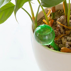 LOTX5 BOULES D’ARROSAGE AUTOMATIQUE AQUAGLOBE  – ARROSE TES PLANTES SANS EFFORT