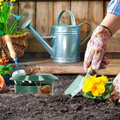 LOTX5 PIÈGES À ESCARGOTS PLUG TRAP – PROTÈGE VOS PLANTES NATURELLEMENT
