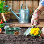 LOTX5 PIÈGES À ESCARGOTS PLUG TRAP – PROTÈGE VOS PLANTES NATURELLEMENT