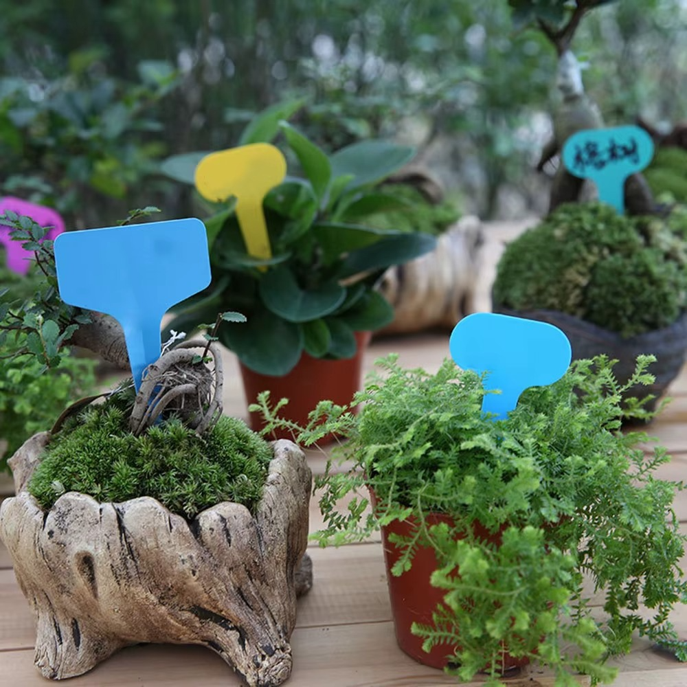 ETHIQUETES PLANTES PLANT TAG  X100 – ORGANISATION PARFAITE DU JARDIN