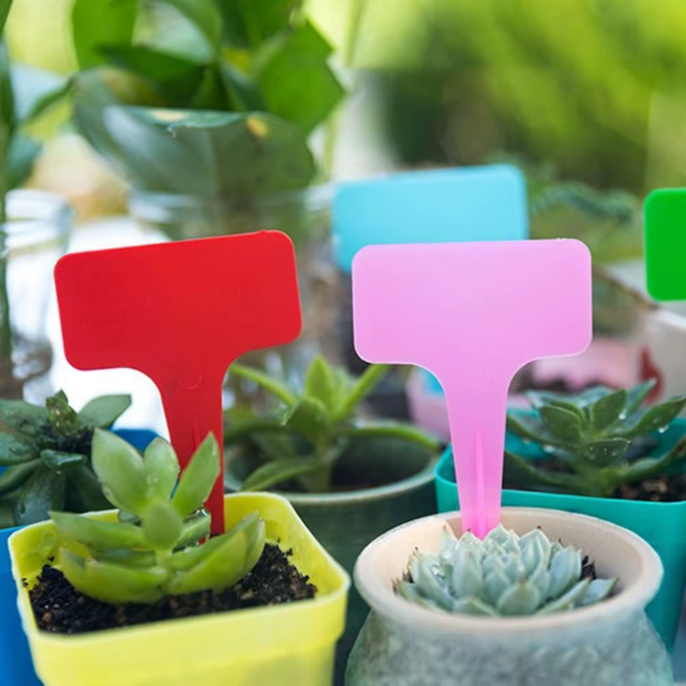 ETHIQUETES PLANTES PLANT TAG  X100 – ORGANISATION PARFAITE DU JARDIN
