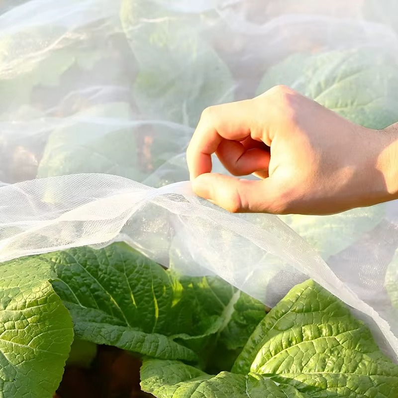 FILET PROTECTION PLANTES PLANT SHIELD 2X10M – PROTECTION INVISIBLE ET EFFICACE
