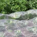 FILET PROTECTION PLANTES PLANT SHIELD 2X10M – PROTECTION INVISIBLE ET EFFICACE