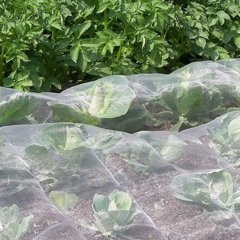FILET PROTECTION PLANTES PLANT SHIELD 2X10M – PROTECTION INVISIBLE ET EFFICACE