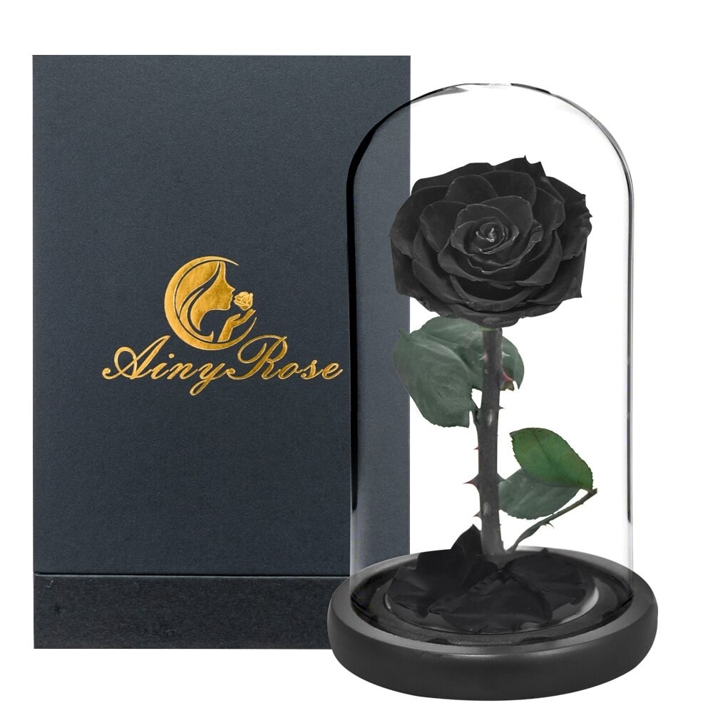 Rose éternelle la belle et la bête