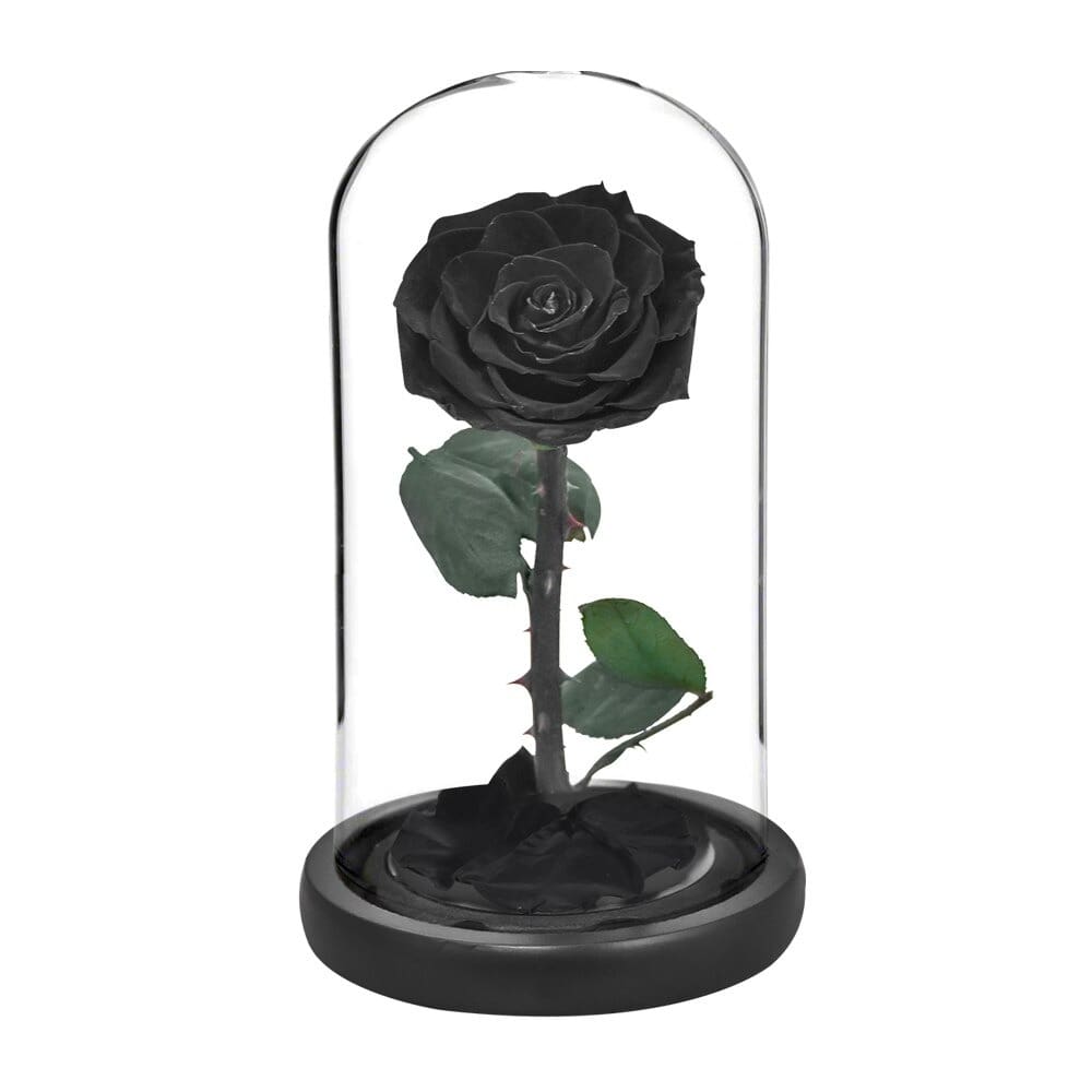 Rose éternelle la belle et la bête