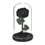 Rose éternelle la belle et la bête