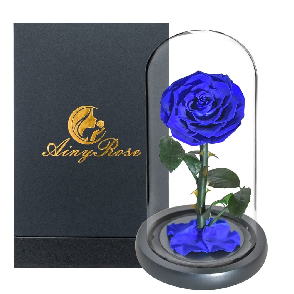 Rose éternelle la belle et la bête