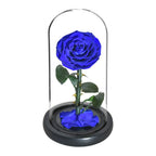 Rose éternelle la belle et la bête