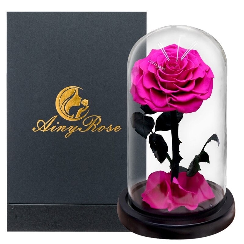 Rose éternelle la belle et la bête