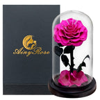 Rose éternelle la belle et la bête