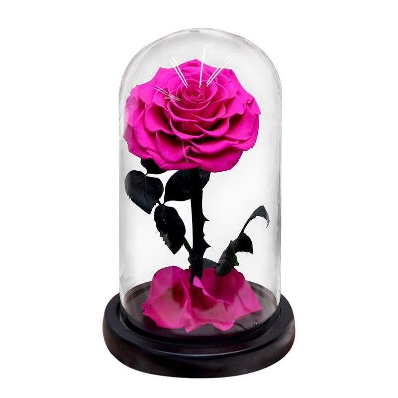 Rose éternelle la belle et la bête