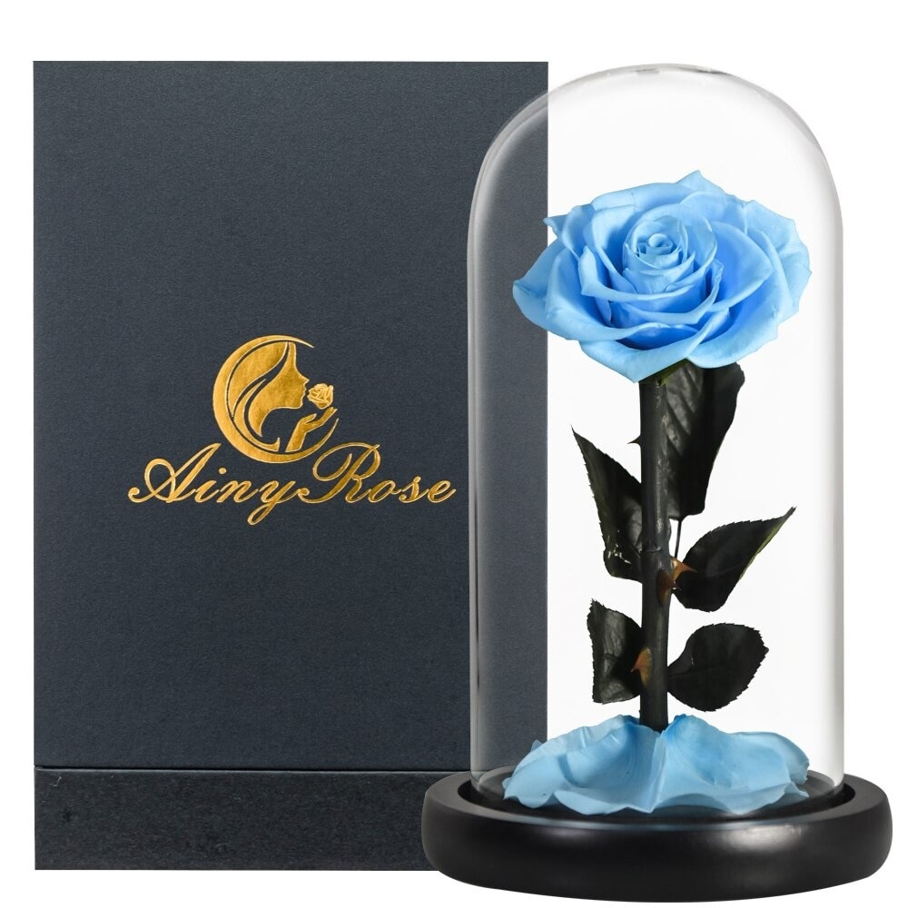 Rose éternelle la belle et la bête