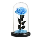Rose éternelle la belle et la bête