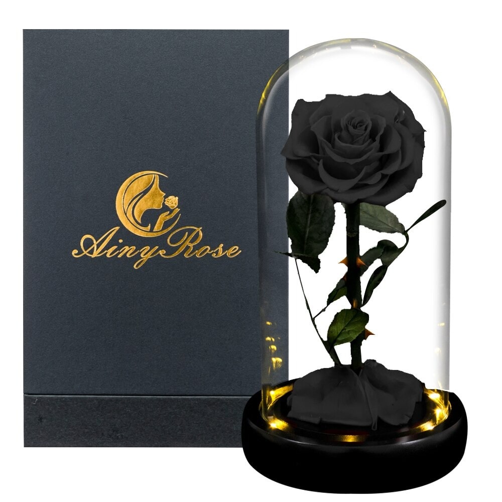 Rose éternelle la belle et la bête