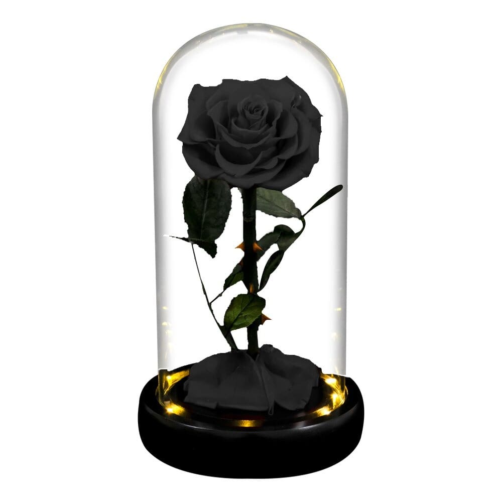 Rose éternelle la belle et la bête