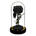 Rose éternelle la belle et la bête