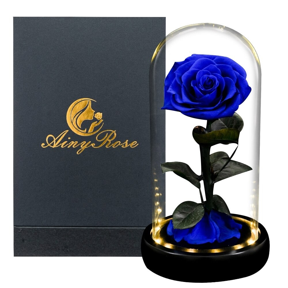 Rose éternelle la belle et la bête