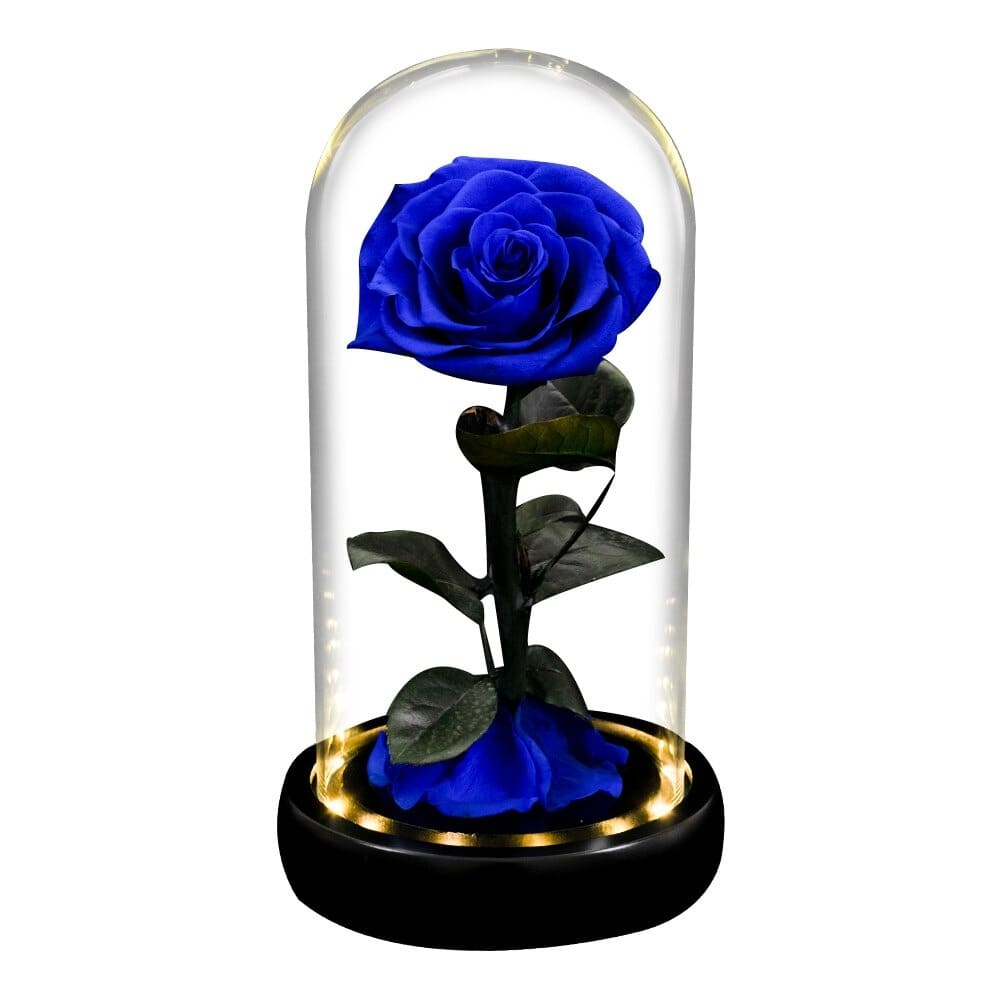 Rose éternelle la belle et la bête