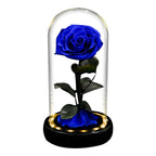 Rose éternelle la belle et la bête