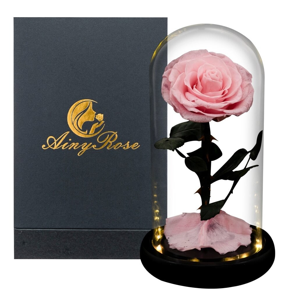 Rose éternelle la belle et la bête