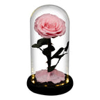 Rose éternelle la belle et la bête