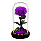 Rose éternelle la belle et la bête