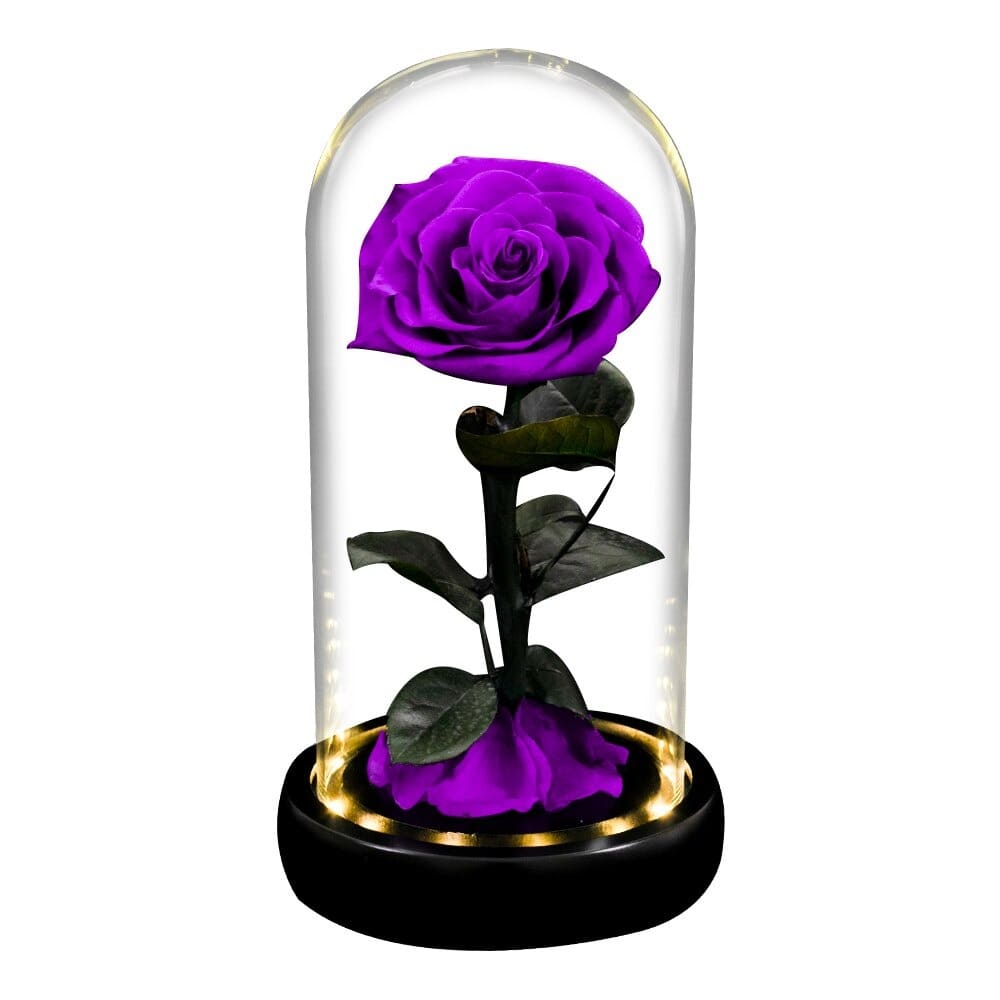 Rose éternelle la belle et la bête