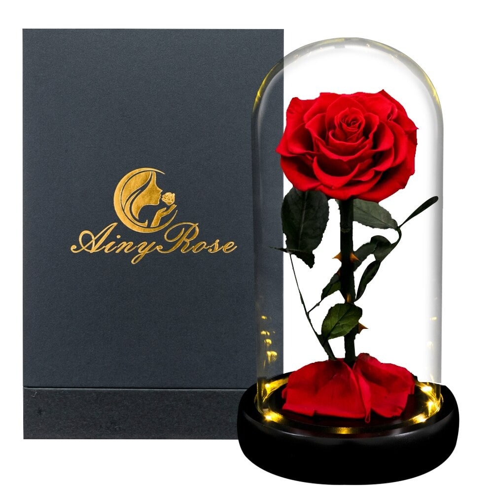Rose éternelle la belle et la bête