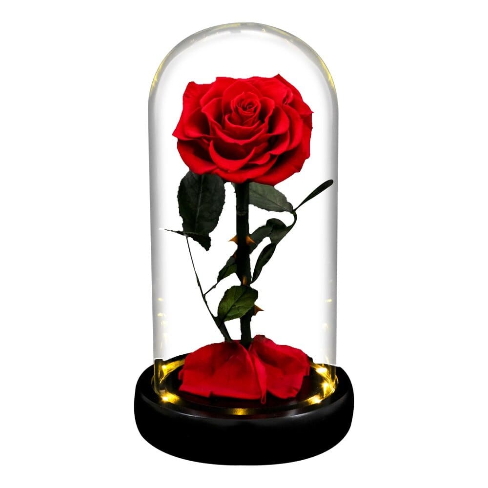 Rose éternelle la belle et la bête