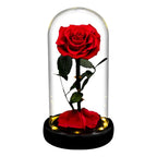 Rose éternelle la belle et la bête