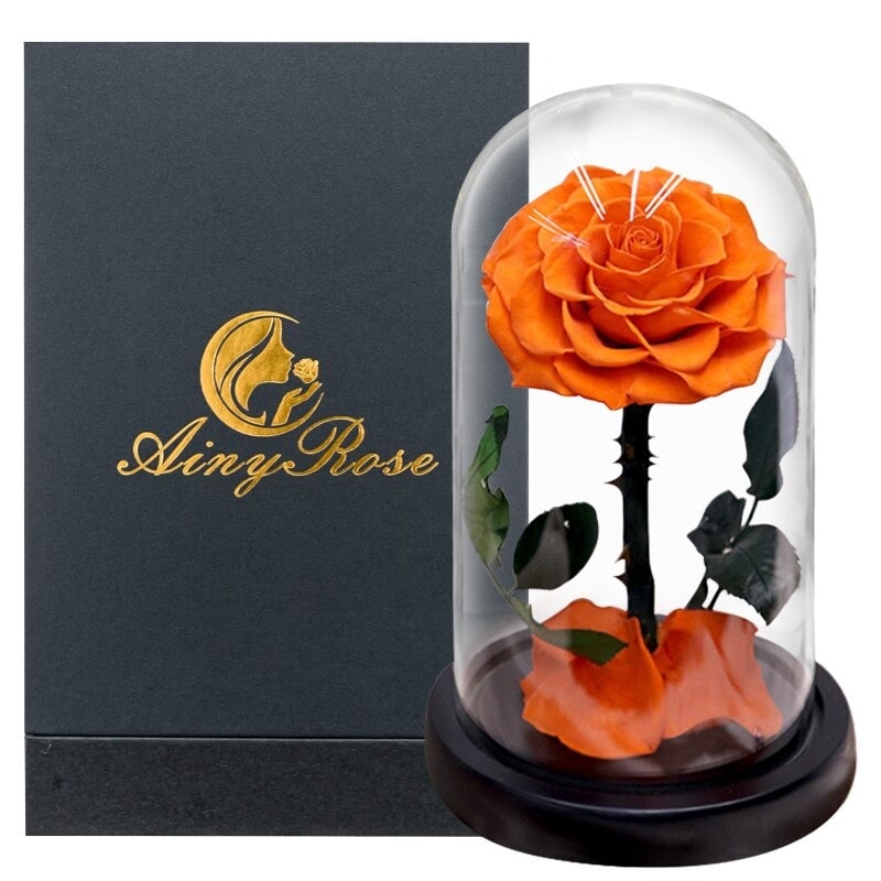 Rose éternelle la belle et la bête