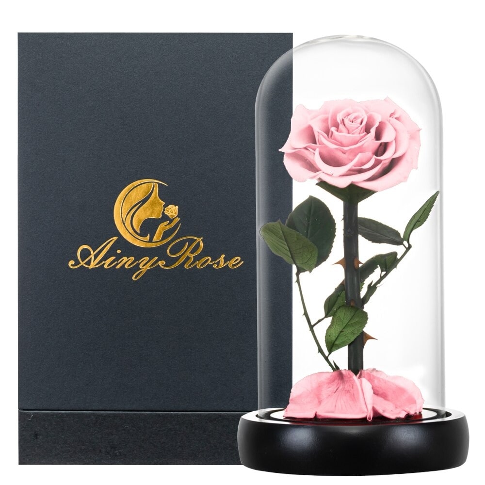 Rose éternelle la belle et la bête