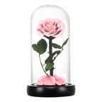 Rose éternelle la belle et la bête