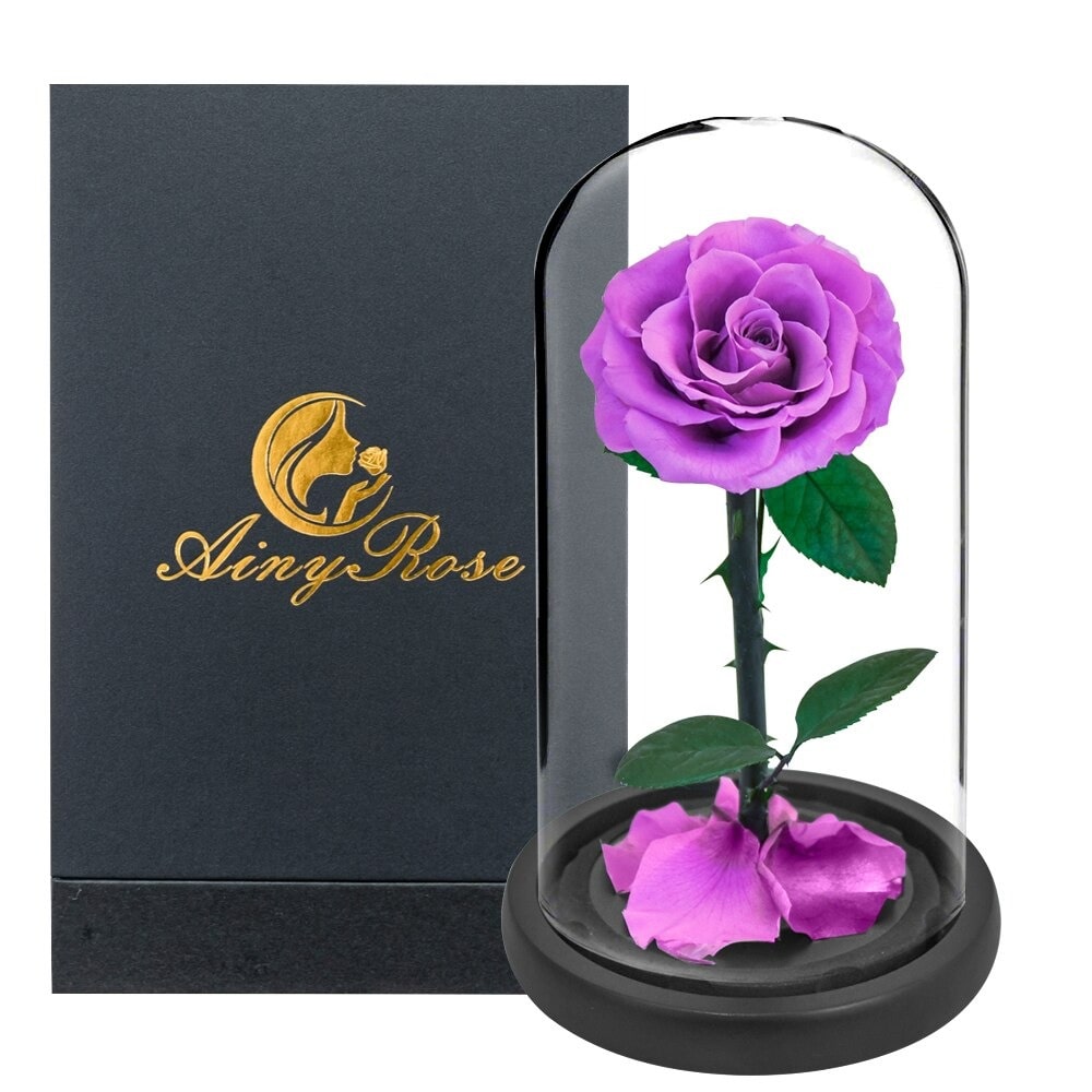 Rose éternelle la belle et la bête