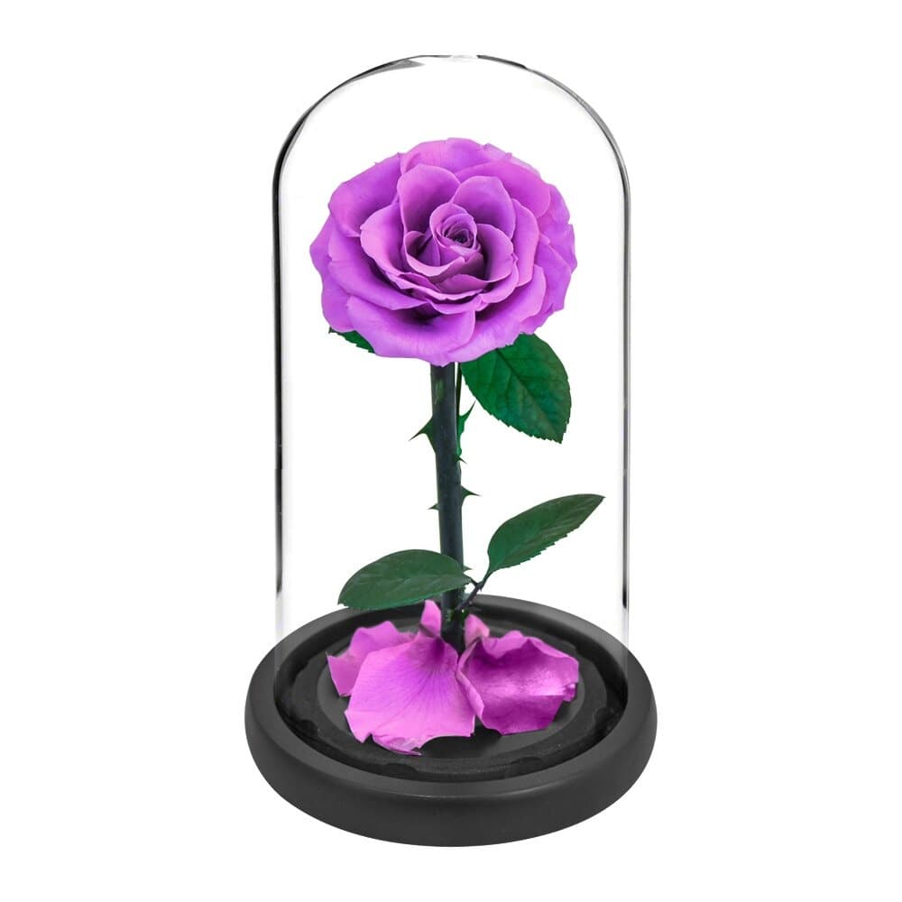 Rose éternelle la belle et la bête