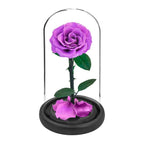 Rose éternelle la belle et la bête