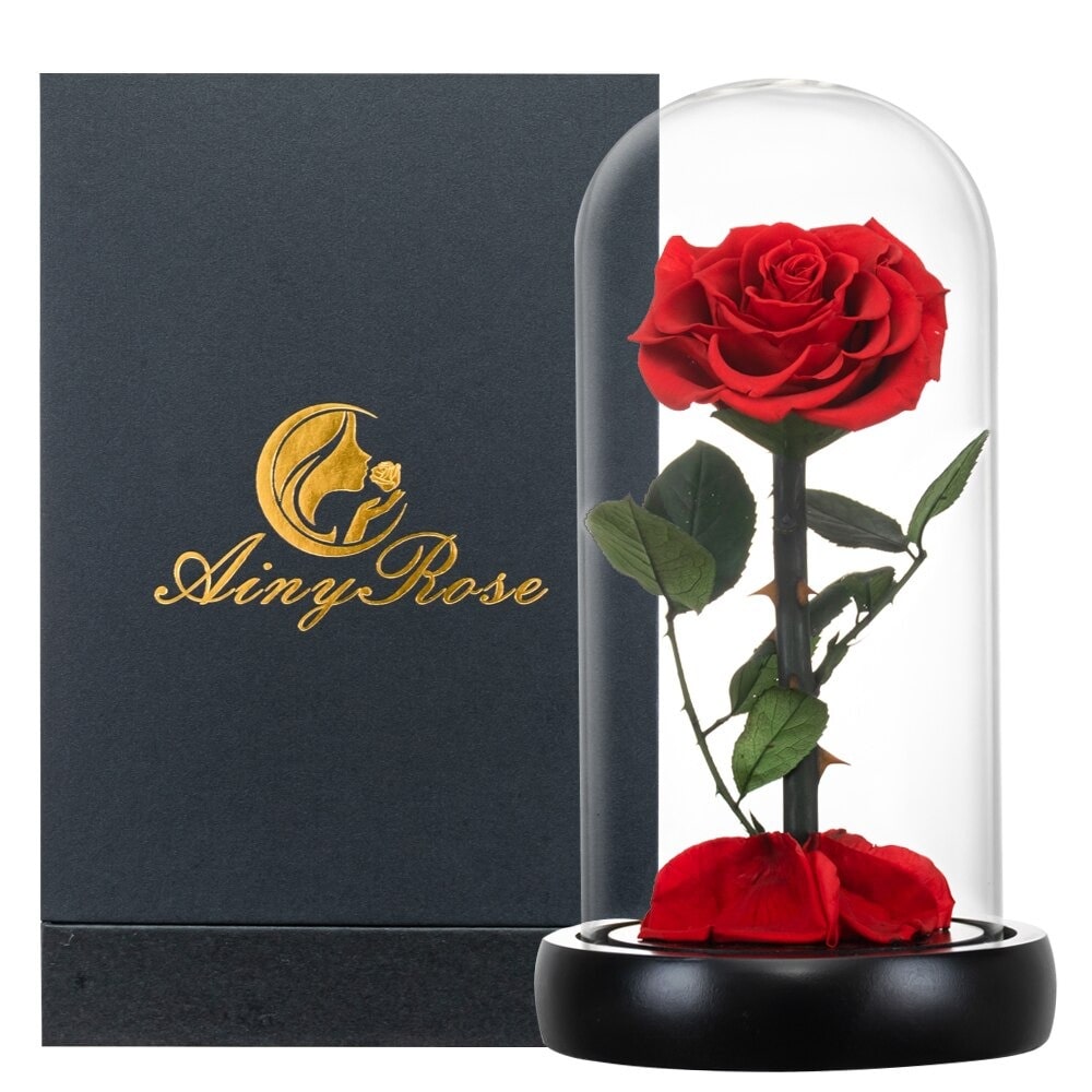 Rose éternelle la belle et la bête