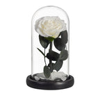 Rose éternelle la belle et la bête