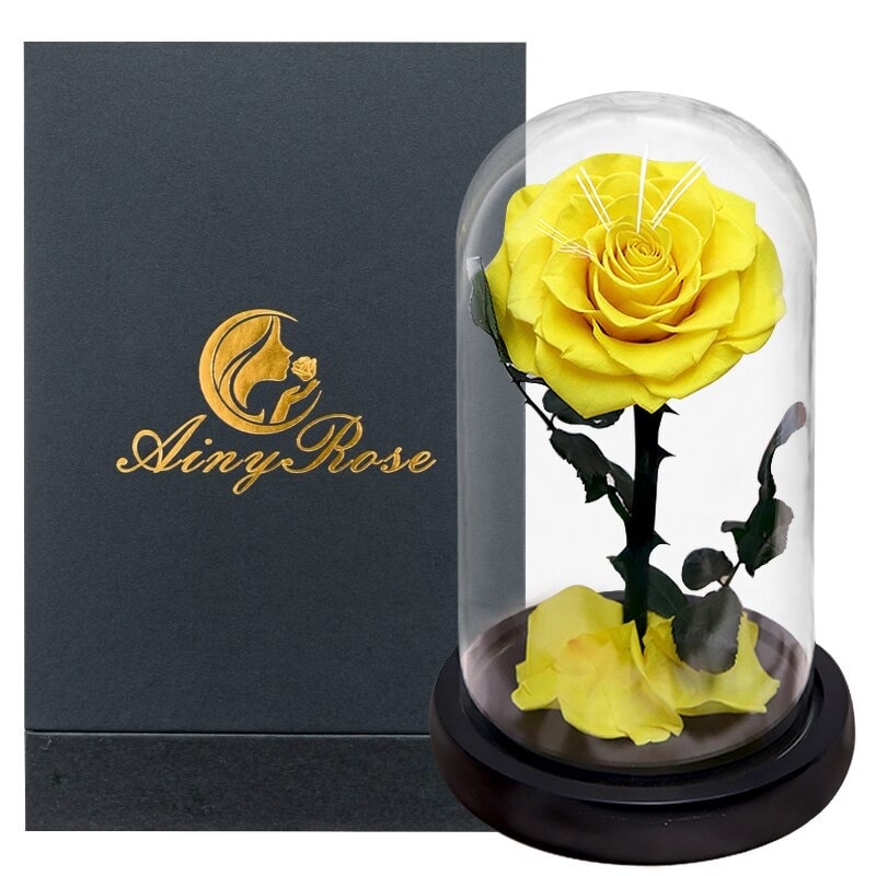 Rose éternelle la belle et la bête