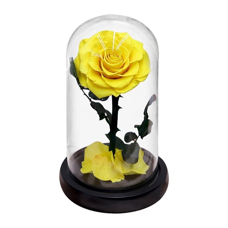 Rose éternelle la belle et la bête